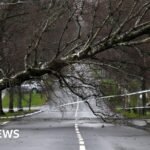 Storm Amy upgraded to amber warning f95d1630-9f76-11f0-9ccd-4dc2d8fa5ad2.jpg